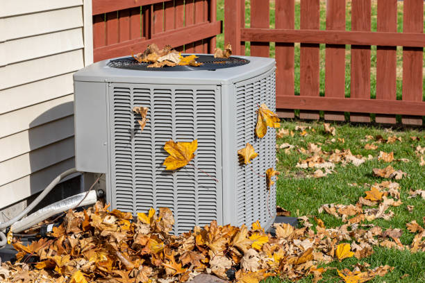 Best HVAC tune-up services  in Torrance, CA